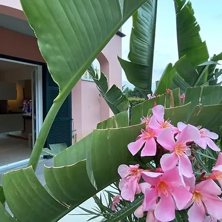 Casa Liguria Διαμέρισμα Villanova d'Albenga